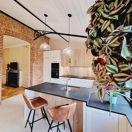 Louez Maison De Maitre Pour 11 Pers. A - Jardin, Wifi Et Proche Commerces - Fr-1-510-219 * Arneke